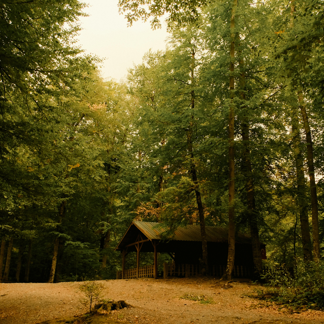 Rustic