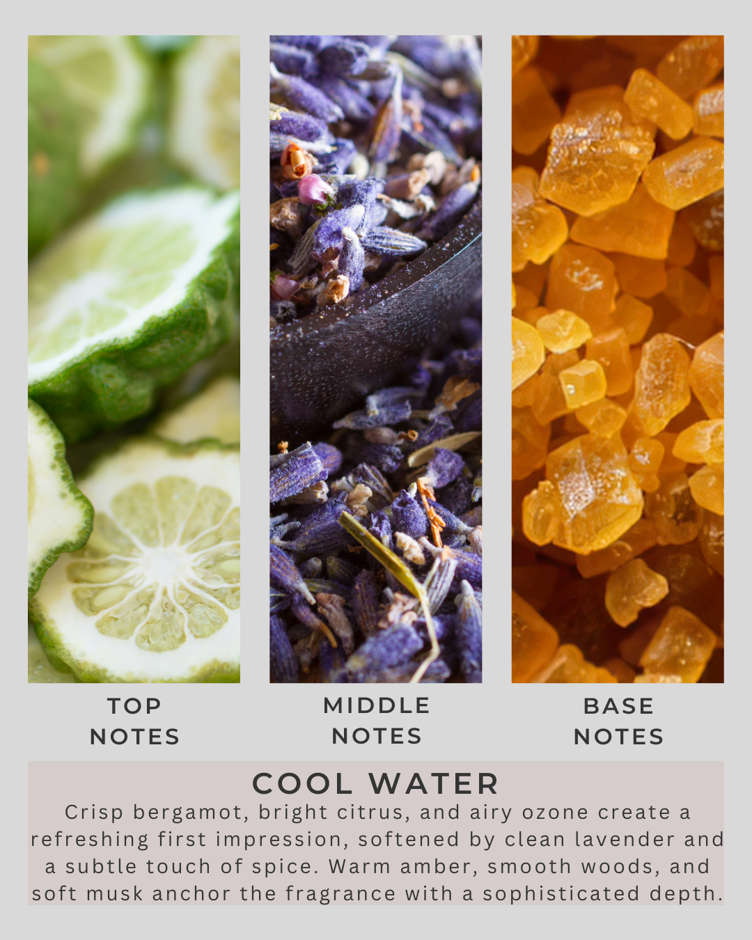 Cool Water | All Natural Soy Wax | Sunday Morning