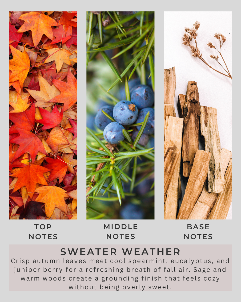 Sweater Weather | All Natural Soy Wax | Sunday Morning