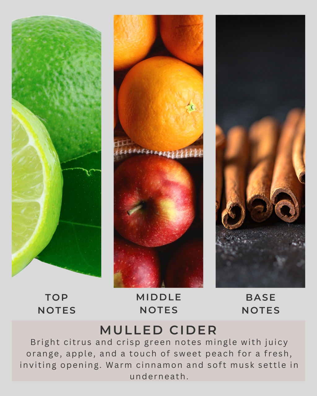 Mulled Cider | All Natural Soy Wax | Grandma's Kitchen