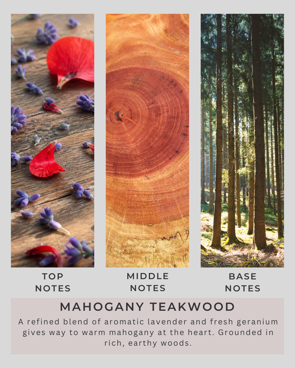 Mahogany Teakwood | All Natural Soy Wax | Mancave